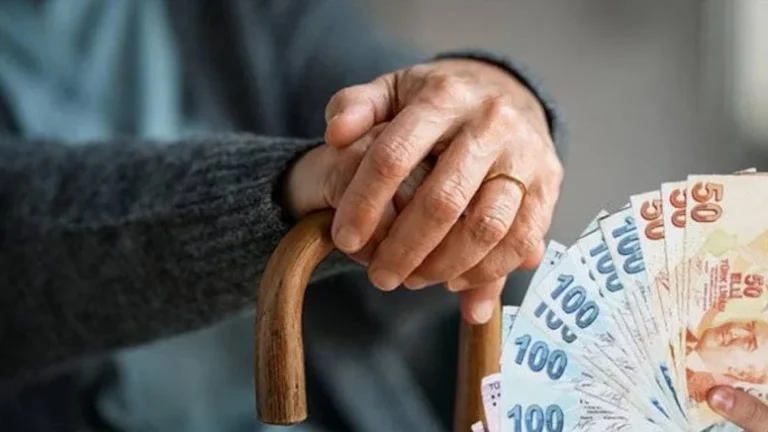 Engelli Maaşı Almak İçin Kişi Başına Düşen Gelir Ne Olmalı?